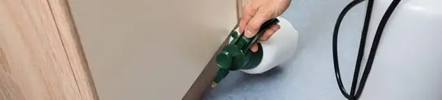 Bed bug exterminator treating baseboards and cracks with targeted spray in St Paul, MN