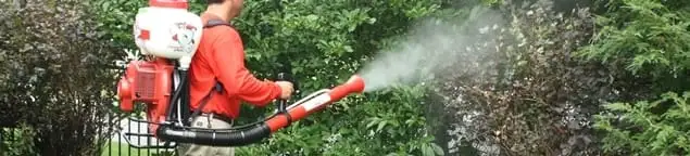 Mosquito control technician fogging shrubs and landscaping for mosquito treatment in St Paul, MN