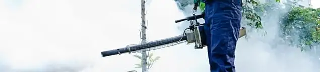Pest control technician fogging an outdoor area for insect control in St Paul, MN