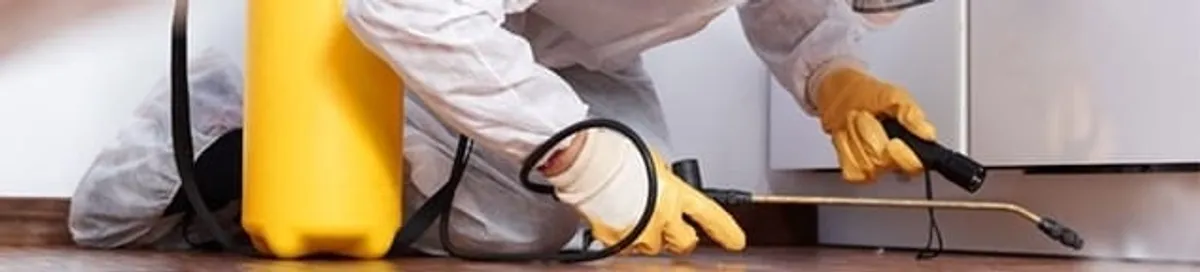 Roach exterminator treating cracks and crevices along kitchen baseboards in St Paul, MN