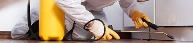 Roach exterminator treating cracks and crevices along kitchen baseboards in St Paul, MN