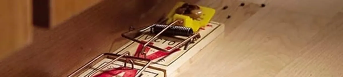 Rodent trap set indoors for rodent control and prevention in St Paul, MN