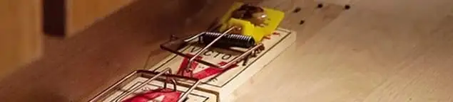 Rodent trap set indoors for rodent control and prevention in St Paul, MN